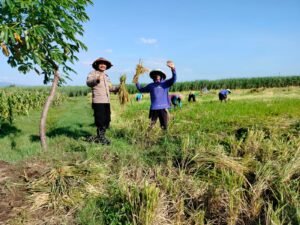 Dukung Ketahanan Pangan, Polisi Kota Kediri Sambangi Petani