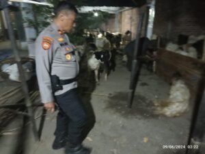 Cegah Tindak Pidana Pencurian Hewan Ternak Jelang Idul Adha 1445 Hijriah, Polsek Mojoroto Intensifkan Patroli ke Lapak Hewan Kurban