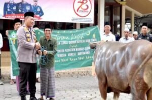 Kapolda Jatim Berkurban 10 Sapi dan 17 Kambing untuk Ponpes,Ormas dan Organisasi Kemahasiswaan di Banyuwangi