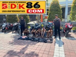 Polres Gresik Amankan Gerombolan Pemuda Bawa Sajam Diduga Hendak Tawuran