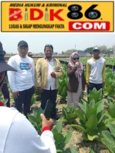 Dr Alif di dampingi Hj Nursaidah sangat peduli petani, hingga adakan kunjungan ke Desa Tumapel