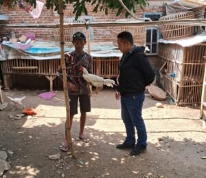 Polsek Mojo Amankan Terduga Maling Ayam Di Desa Tambibendo