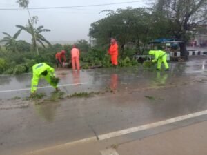 Gerak Cepat Anggota Polsek Rejoso dan Tim Operasi Zebra Semeru 2024 Polres Nganjuk Bersihkan Pohon Tumbang