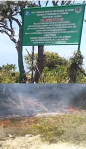 Di Duga Gakkum dan DLHK Sulawesi selatan, mendukung penuh pembabatan dan pembakaran hutan