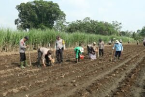 Polresta Malang Kota Dukung Program Asta Cita Kampanyekan Swasembada Pangan Nasional