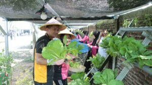 Kapolres Nganjuk Bersama Ketua Bhayangkari Cabang Nganjuk Panen Ikan Lele dan Sayur Mayur di Kolam Terpal Program P2L