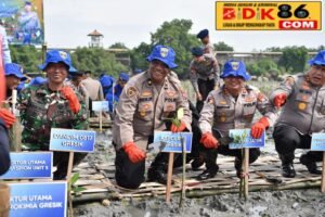 Konservasi Lestarikan Lingkungan hijau, Ditpolairud Polda Jatim Tanam Belasan Ribu Bibit Mangrove di Gresik