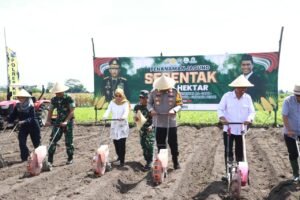 Polres Kediri Tanam Jagung Guna Dukung Swasembada Pangan Nasional