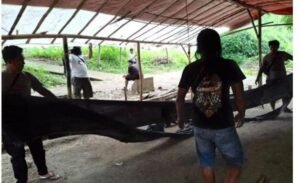 Polres Nganjuk Gerebek Lokasi Sabung Ayam di Lengkong, Pelaku Kabur