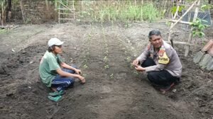 Bhabinkamtibmas Desa Senjayan Bersama Warga Manfaatkan Lahan Sela untuk Dukung Ketahanan Pangan