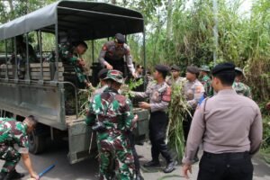 Perkuat Sinergitas dan Soliditas TNI – Polri di Malang Kompak Laksanakan Karya Bakti pada HUT ke – 64 Kostrad