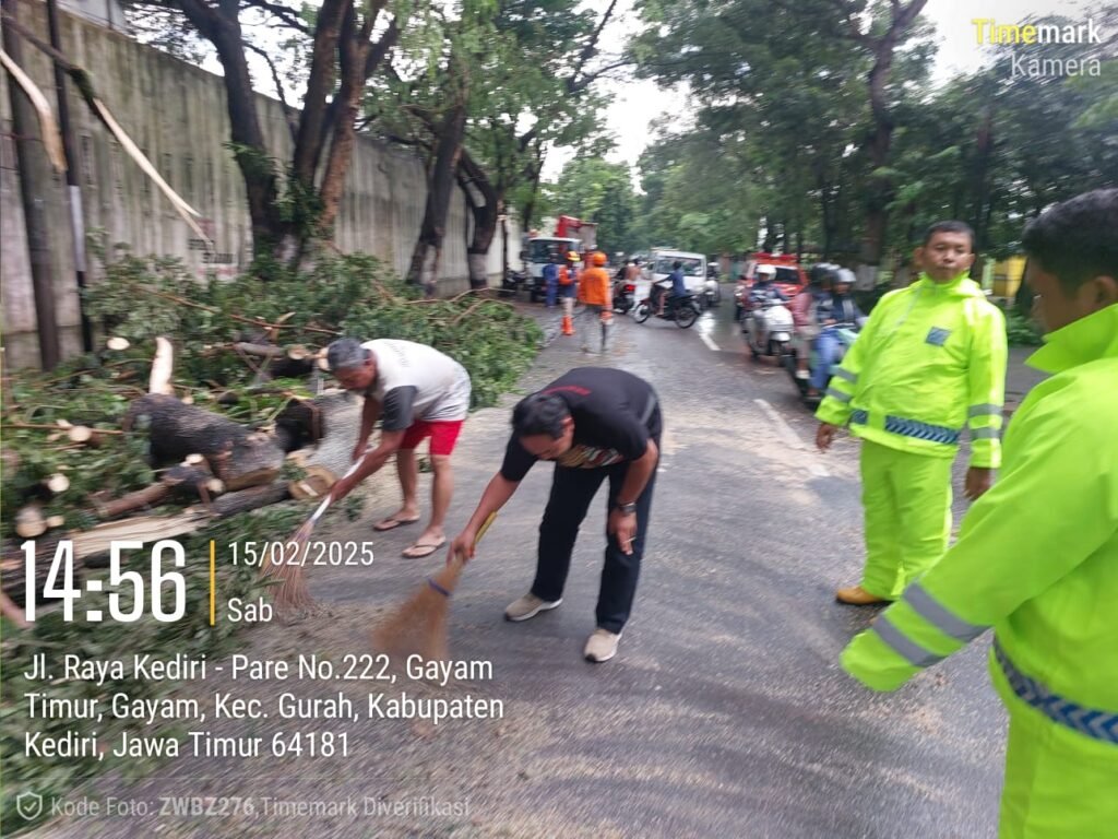 Gerak Cepat, Polisi Bantu Evakuasi Pohon Tumbang di Pinggir Jalan Raya Gurah