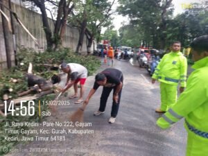 Gerak Cepat, Polisi Bantu Evakuasi Pohon Tumbang di Pinggir Jalan Raya Gurah