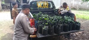 Polsek Pace Dukung Ketahanan Pangan, Manfaatkan Lahan Sela untuk Tanaman Bergizi