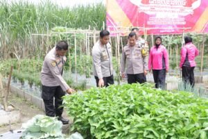 Polres Kediri Launching Penguatan Program Pekarangan Pangan Di Desa Pojok