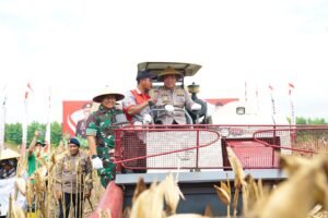 Irwasum Polri Pimpin Panen Jagung Serentak di Madiun, Wujudkan Astacita