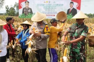 Polres Kediri Bersama Pemkab Kediri Panen Raya,Guna Dukung Asta Cita Presiden