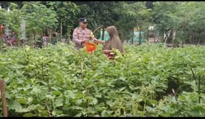 Bhabinkamtibmas Desa Senjayan Dukung Ketahanan Pangan dengan Monitoring Tanaman Terong