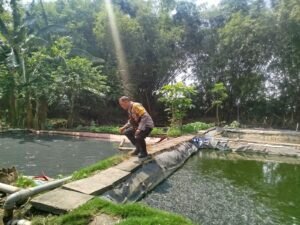 Dukung Ketahanan Pangan, Polsek Baron Pantau Budidaya Lele di Desa Mabung