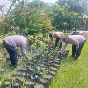 Polsek Ngasem Monitoring Kebun Pekarangan Program RPL di Desa Toyoresmi