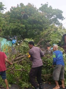 Polsek Nganjuk Kota Bersama BPBD Evakuasi Pohon Tumbang Akibat Cuaca Ekstrem
