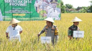 Kapolres Nganjuk Hadiri Panen Raya Padi Serentak, Tegaskan Komitmen Dukung Ketahanan Pangan