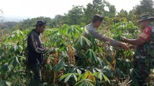 Bhabinkamtibmas Polres Pasuruan Jadi Motor Penggerak Ketahanan Pangan