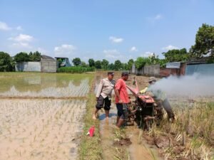 Dukung Ketahanan Pangan, Bhabinkamtibmas Kel Tamanan Sambang Petani di Sawah
