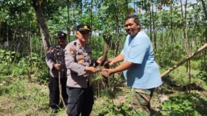 Panen Terong dan Singkong di Polsek Tarokan, Warga Sekitar Kebagian