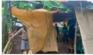 Polsek Ngronggot Bongkar Lokasi Diduga Perjudian Sabung Ayam
