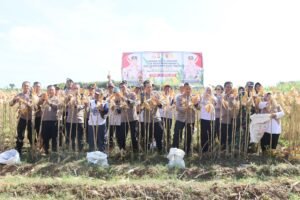 Polres Kediri Kota Panen Raya Jagung, Wujud Nyata Dukung Swasembada Pangan