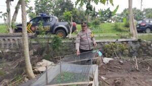 Polsek Patianrowo Dukung Ketahanan Pangan Lewat Pemanfaatan Lahan Pekarangan