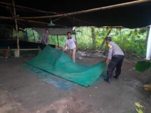 Berantas Perjudian Polisi Bongkar Arena Sabung Ayam di Nganjuk