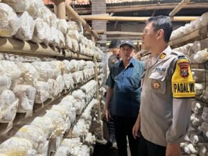 Wujudkan Ketahanan Pangan, Polsek Kepung Budidaya Jamur Tiram Bersama Warga