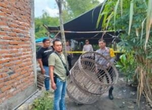 Polsek Bagor Bongkar Arena Sabung Ayam di Sugihwaras, Warga Diminta Tak Biarkan Perjudian Berkembang