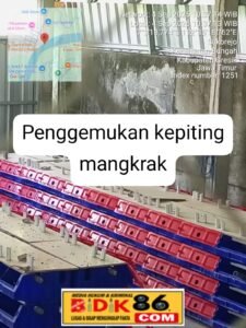 Crab House (penggemukan kepiting) Mangkrak,Kades bedanten Sia-siakan anggaran Dana Desa hingga Ratusan Juta Rupiah tahun 2024