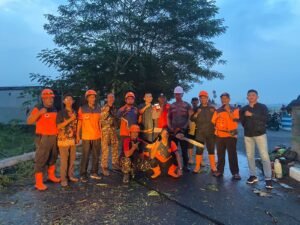 Hujan Lebat Disertai Angin Kencang Sebabkan Pohon Tumbang di Desa Kajeksan,Polsek Tulangan Gercep Bantu Evakuasi