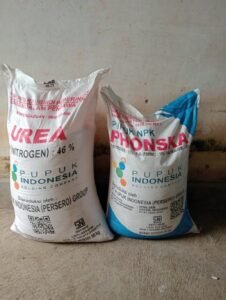 Kelompok tani Dusun kletak: Usman di duga mafia pupuk bersubsidi,menjual di atas harga eceran tertinggi (HET)